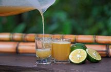 Authentic experience of Coffee, Cane and Caco inside the forest