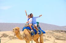 Camel riding experience on the shores of the Pacific Ocean