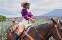 Private Full-Day Ruta del Tequila Tour: Safe & Expert-Guided