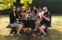Half Day Wine Tour in Napier