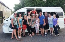 Half Day Wine Tour in Napier