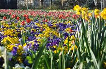Canberra Floriade Tour
