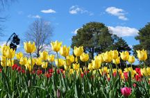 Canberra Floriade Tour
