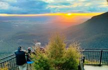 Late Start Blue Mountains Nature, Waterfalls, Koalas Small Group 