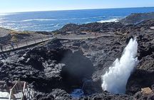 Sea Cliff Bridge, Kiama Blowhole, Beaches & Farmlands Small Group