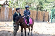 Pony Riding in Luang Prabang
