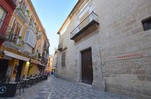 Skip-the-Line Picasso Museum Private Tour