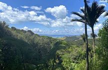 Waiheke Island Private Bush and Beach Walk