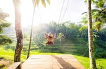 Ubud Full Day Tour Waterfall Monkey Forest Rice Terrace