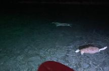 Night Kayaking with Liquid Glow