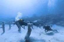 Scuba Diving Experience + Free Edited Video