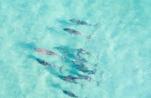 Group Surf Lesson in Corny Point
