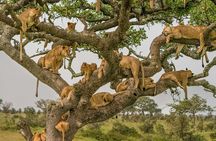 8 Days Tour in Kenya and Tanzania