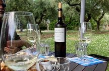 Wine Tasting with Panagiotis aka Chilly August