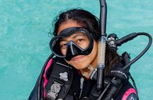 Discover Scuba Diving Cabo San Lucas Marine Park
