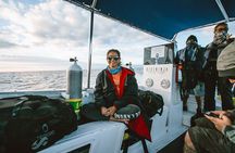 Discover Scuba Diving Cabo San Lucas Marine Park