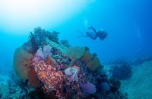 Discover Scuba Diving Cabo San Lucas Marine Park