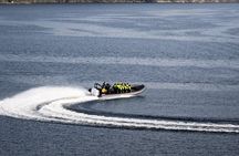 Ulvik Ultimate Hardangerfjord RIB adventure