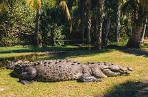 Wildlife Eco Tour on the coast of Oaxaca.