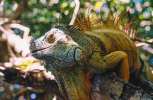 Wildlife Eco Tour on the coast of Oaxaca.