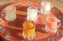 Mezcal and Pulque Tasting Los Hijos del Agave