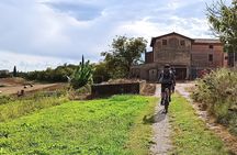 E-Bike Tour and Wine Tasting from Bardolino