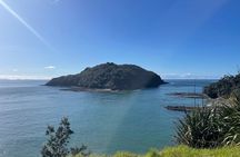 Sheep World Country Tour from Auckland