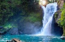 Ubud Full Day Tour Waterfall Monkey Forest Rice Terrace