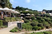 Private Vineyard Bush Walk Tour in Waiheke Island
