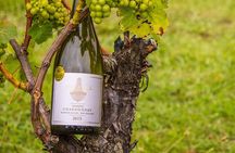 Private Vineyard Bush Walk Tour in Waiheke Island