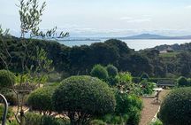 Private Vineyard Bush Walk Tour in Waiheke Island