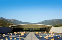 Private Full day Tour to VIK Winery Tour with Lunch