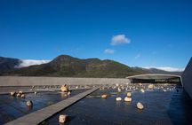 Private Full day Tour to VIK Winery Tour with Lunch