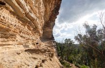 Guided Walking Tour in the Blue Mountains - Hidden Treasures