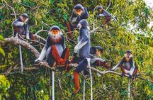 Cuc Phuong National Park Trekking: Private Day Tour From Hanoi