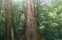 Cuc Phuong National Park Trekking: Private Day Tour From Hanoi