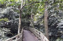 Cuc Phuong National Park Trekking: Private Day Tour From Hanoi