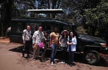 Nairobi National Park Daily Game drives.