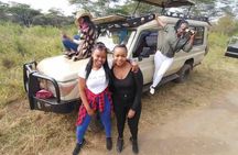 Nairobi National Park Daily Game drives.