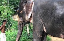 Kerala Private Tour Package 