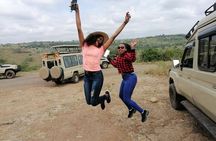 Nairobi National Park, Elephant Orphanage & Giraffe Center tour.
