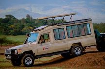 5 days Living Among Lions with Kojuu Safaris - Mid range Lodge 