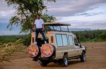 5 days Living Among Lions with Kojuu Safaris - Mid range Lodge 