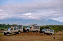 Private 5-Days Serengeti Trails with Kojuu Safaris