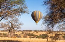 9 Days Great Migration Safaris with Kojuu Safaris Africa-Luxury.