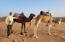 Desert tour 4 days from Marrakech - Private