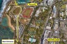 Beginner Scuba Diving with Turtles and Free Videos, San Juan