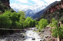 Full Day Guided Tour in Ourika Valley and Setti Fatma