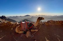 Sunrise at Sinai & the Monastery Marvel - Sharm El Sheikh 