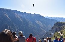 2-Day Tour to the Magical Colca Canyon
